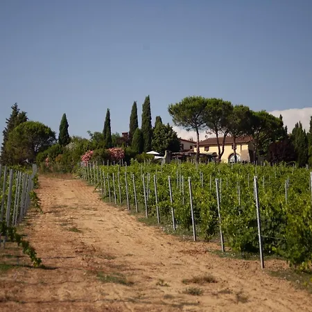 Casalsole