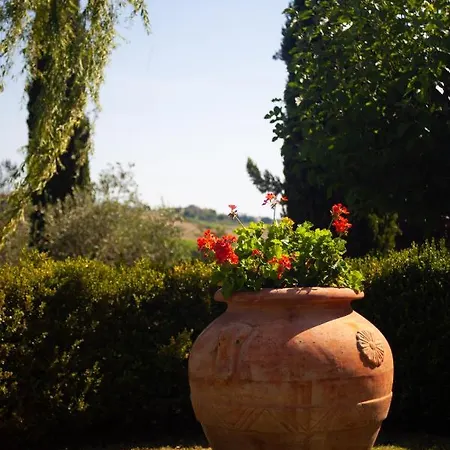 Casalsole *