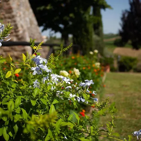 Casalsole Holiday home *